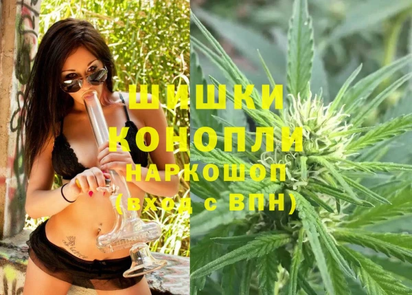 амф Осташков